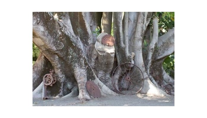 Hotel Brown's House Bed And Breakfast poza 7