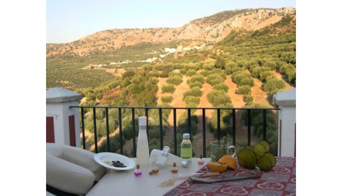 Hotel Hacienda Minerva poza 6