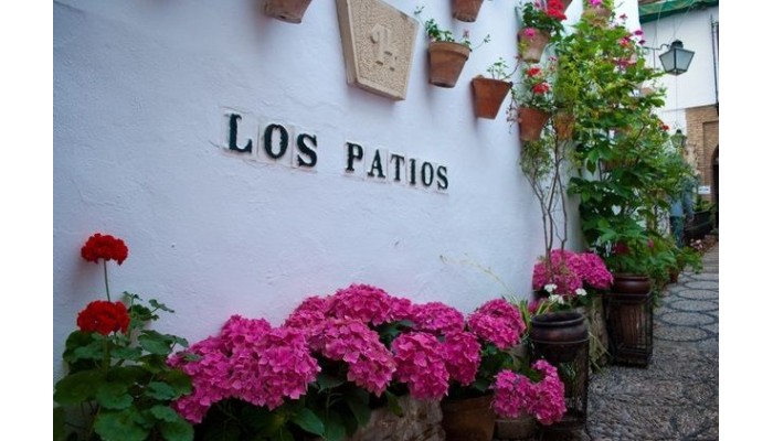 Hotel Los Patios - Cordoba poza 2