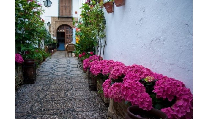 Hotel Los Patios - Cordoba poza 0