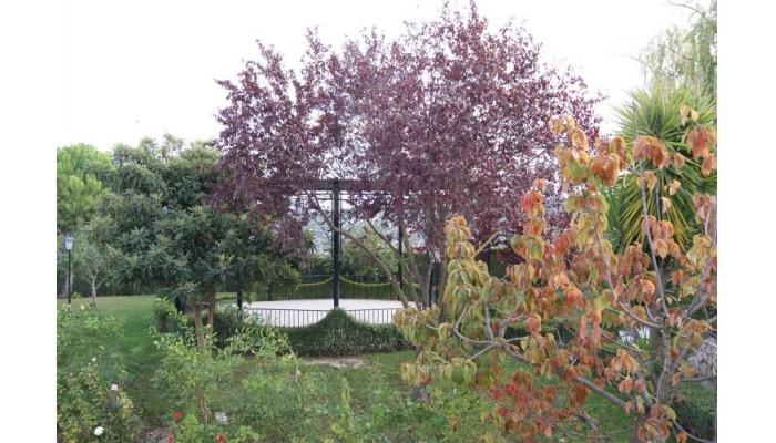 Hotel Maria Luisa poza 9