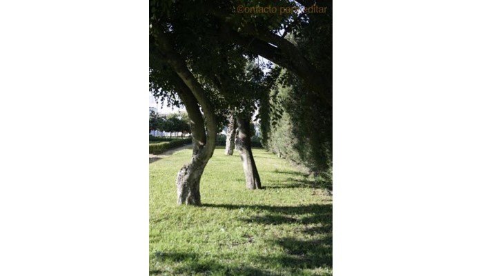 Hotel Monasterio De San Francisco poza 1