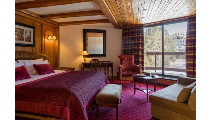 Hotel Le Palace Des Neiges poza 7