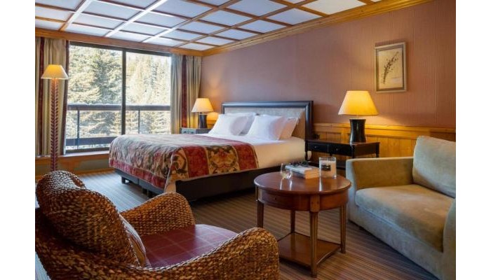 Hotel Le Palace Des Neiges poza 2
