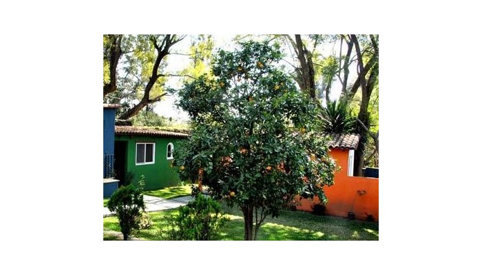 Poza pentru Hotel L Orangerie 162-1488078745 Hotel L Orangerie poza 11