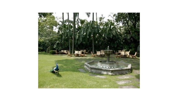 Poza pentru Hotel Las Mananitas Garden Restaurant And Spa 271-1488078517 Hotel Las Mananitas Garden Restaurant And Spa poza 4