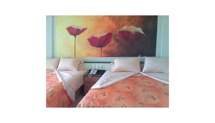 Poza pentru Hotel Orense Express 979-1488079029 Hotel Orense Express poza 1