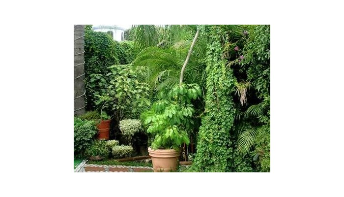 Poza pentru Hotel Quinta Del Gobernador 486-1488078827 Hotel Quinta Del Gobernador poza 9