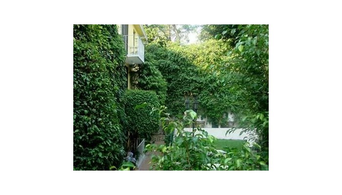 Poza pentru Hotel Quinta Del Gobernador 974-1488078824 Hotel Quinta Del Gobernador poza 7