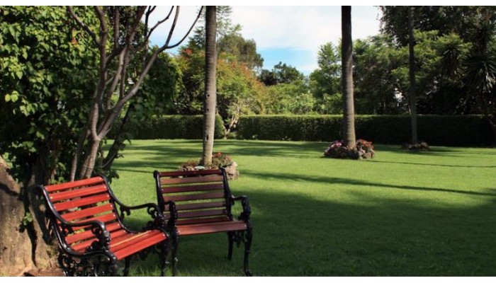 Poza pentru Hotel Racquet Cuernavaca 306-1488078477 Hotel Racquet Cuernavaca poza 8