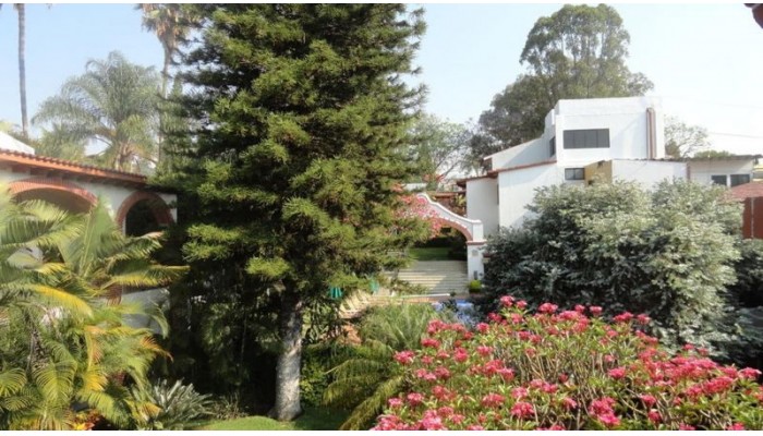 Poza pentru Hotel Vista Hermosa 380-1488078496 Hotel Vista Hermosa poza 8