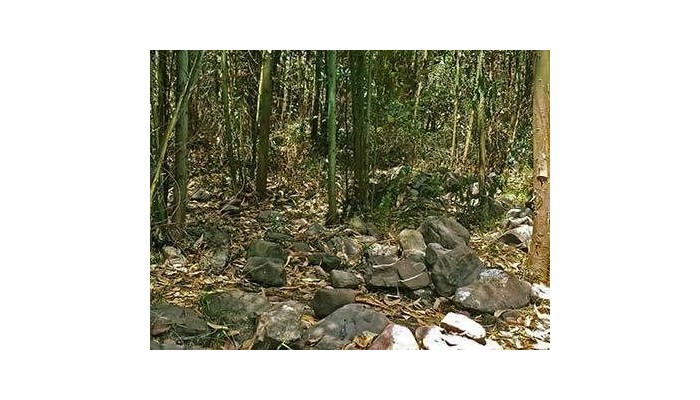 Hotel Checcollo Bungalows poza 0