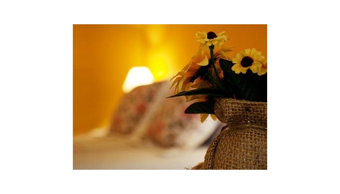 Hotel Torre Dorada poza 2