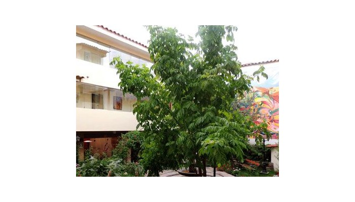 Taypikala Hotel Cusco poza 10