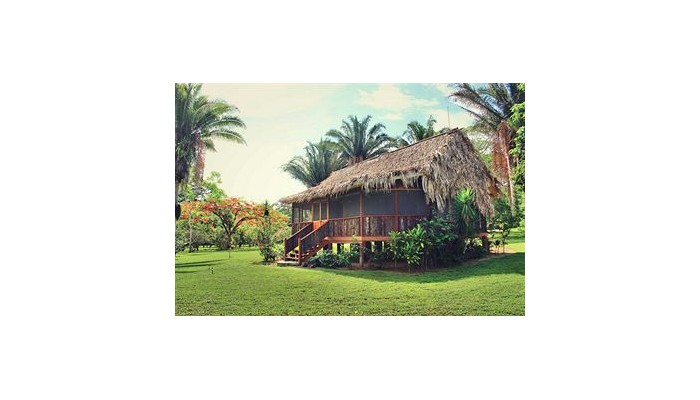 Mama Noots Eco Resort poza 4