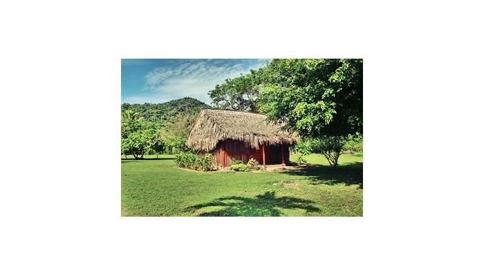 Mama Noots Eco Resort poza 6
