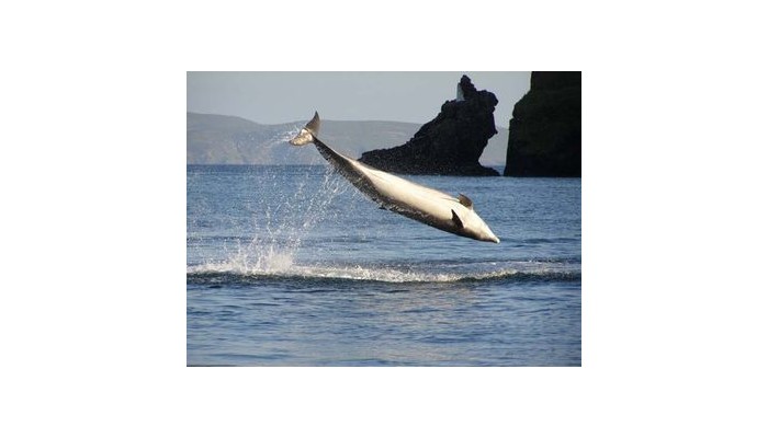 Dingle Skellig Hotel & Peninsula Spa poza 5