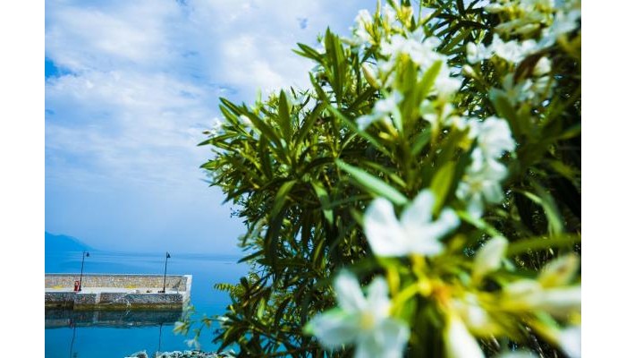 Hotel Miradouro Seafront Residences poza 7