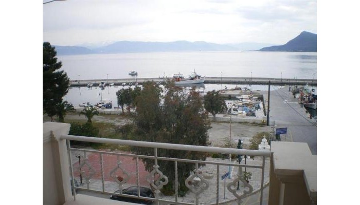 Platino Studios poza 0