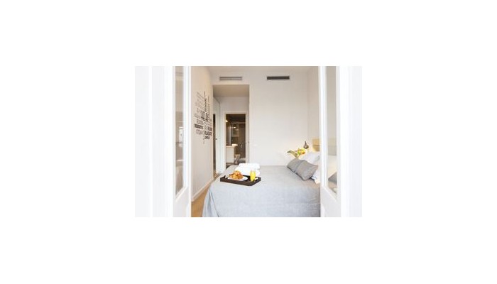 Aspasios Vale Apartments Barcelona poza 5