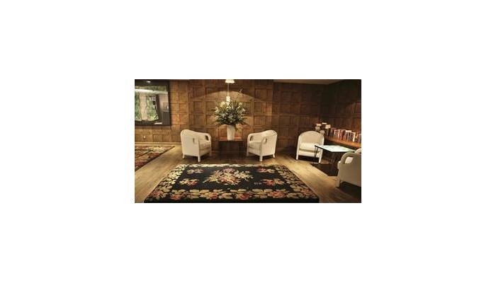 Ofelias Hotel poza 2