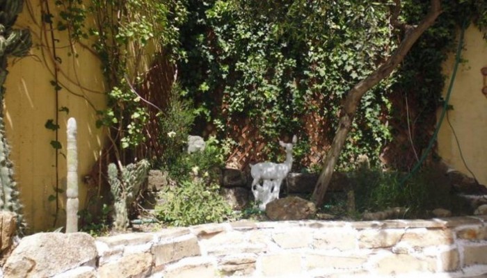 Farkia Exclusive Studios poza 4