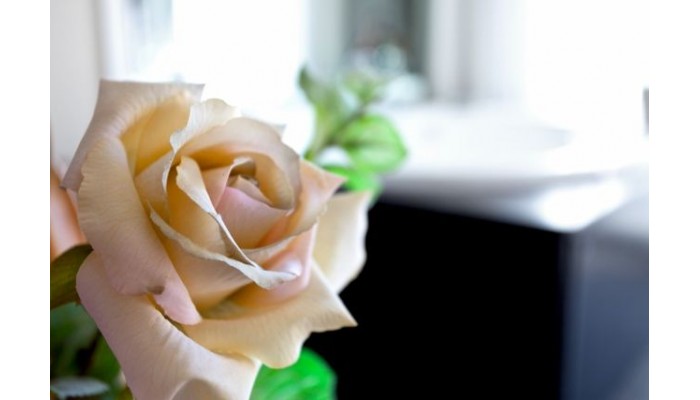 Acacias Hotel Suites & Spa - Lloret poza 6