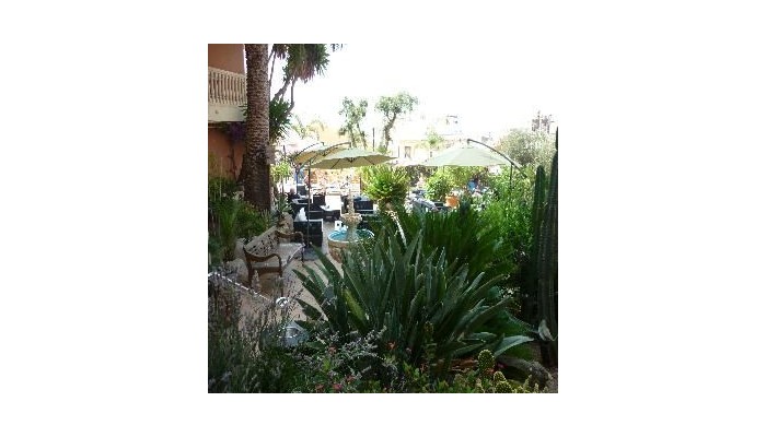 Hotel Alba Seleqtta poza 5