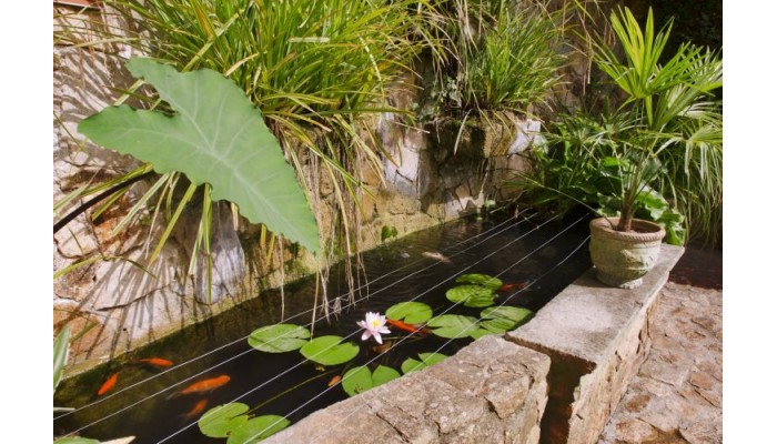 Hotel Ght Neptuno poza 6