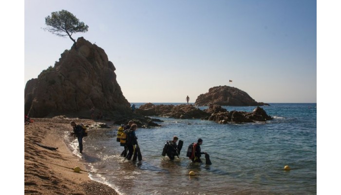 Hotel Golden Mar Menuda poza 5