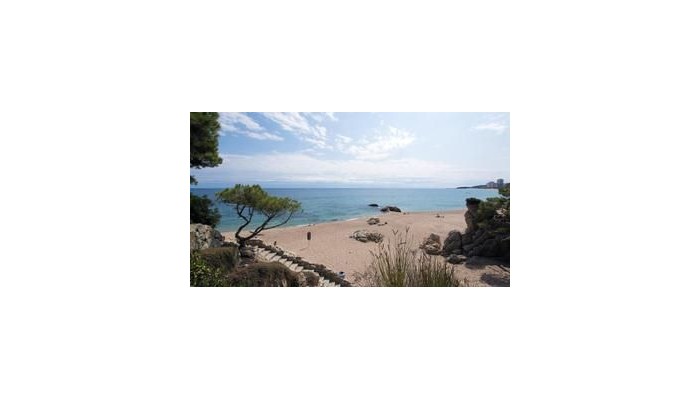 Hotel Monterrey poza 9