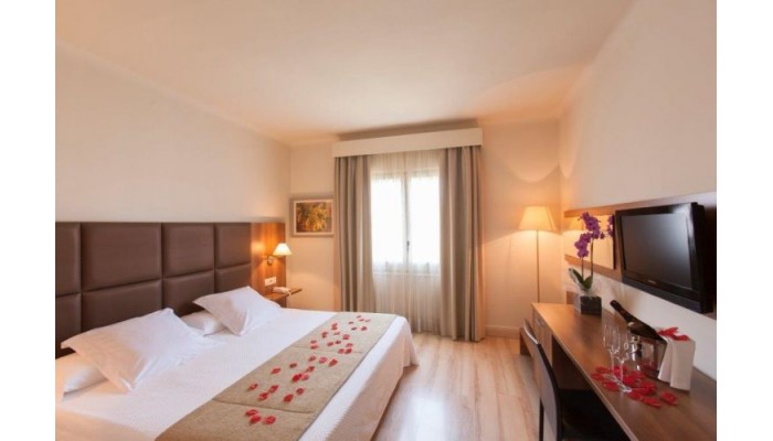 Hotel Pirineos poza 11