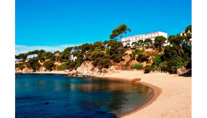 Silken Park San Jorge Hotel. poza 7