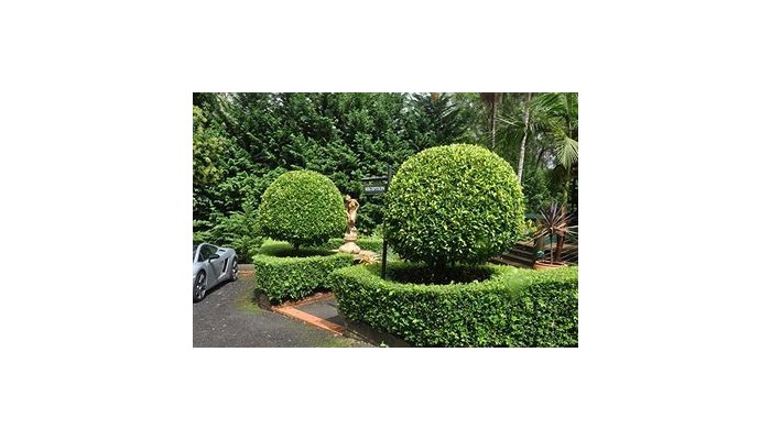 Hotel Escarpment Retreat poza 4