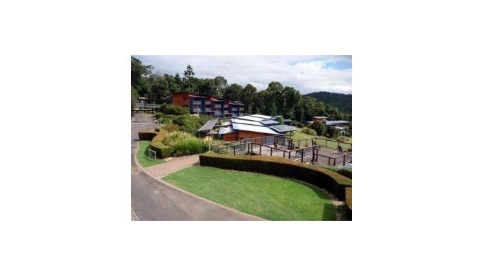 Hotel O'reilly's Rainforest Retreat poza 7