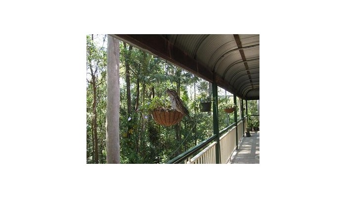 Hotel Rumbalara Bed And Breakfast poza 11