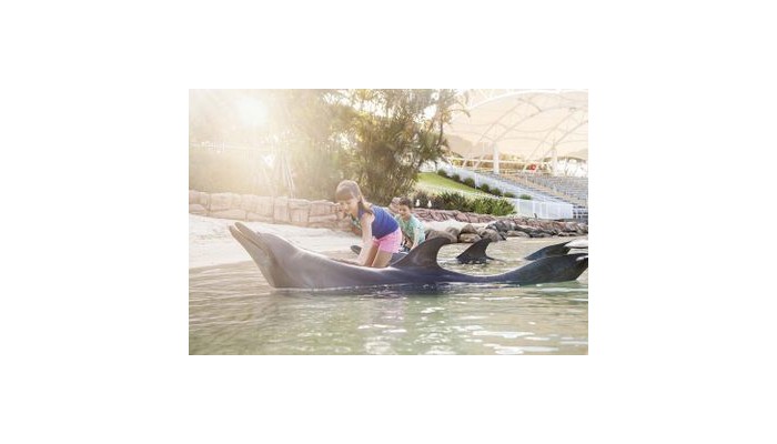 Sea World Resort & Water Park poza 9