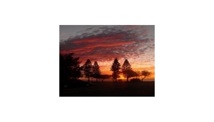 The Shore Apartments poza 5