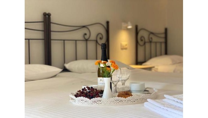 Hotel Louvre poza 11