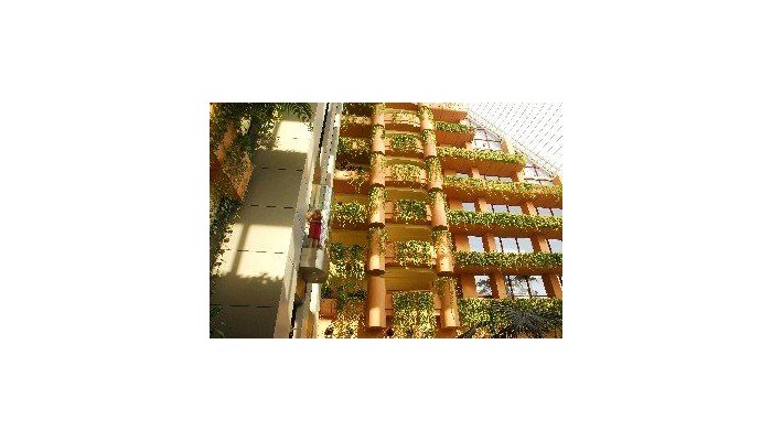 Almunecar Playa Spa Hotel poza 3