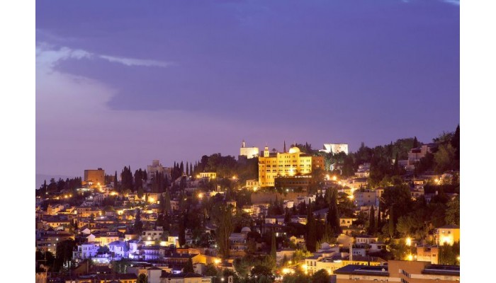 Hotel Alhambra Palace - Granada poza 1