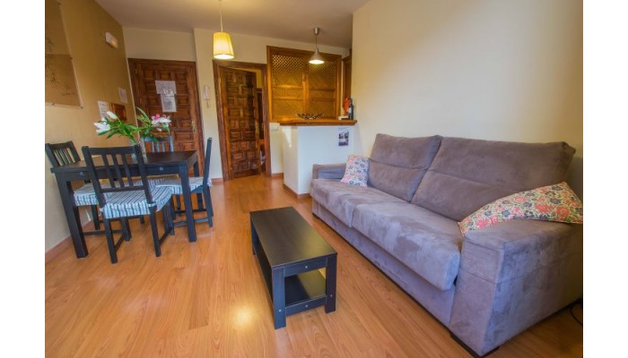 Hotel Apartamentos Turisticos Alhambra poza 3