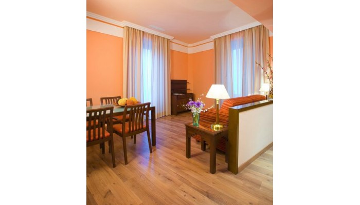 Hotel Aptos Suite Gran Via 44 poza 4