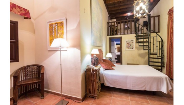 Hotel Domus Selecta Palacio De Santa Ines poza 10