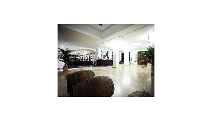 Hotel Hacienda Senorio De Nevada poza 3