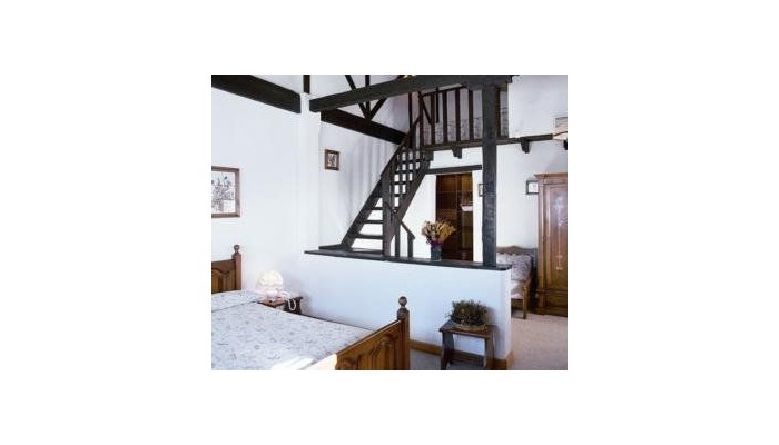 Hotel Hg Maribel poza 8