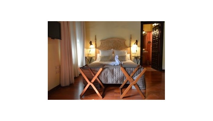 Hotel Palacio De Mariana Pineda poza 3