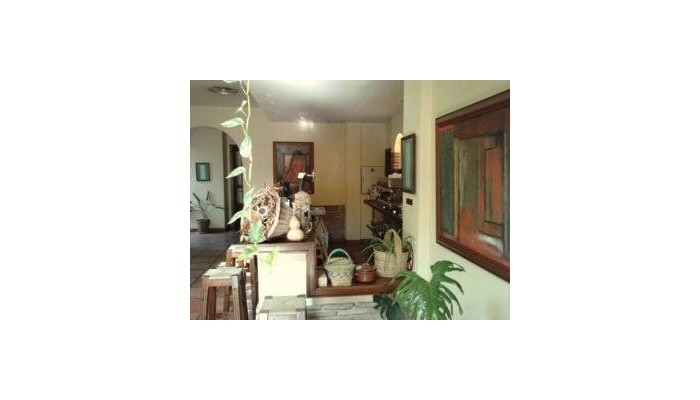 Hotel Taray Botanico poza 10