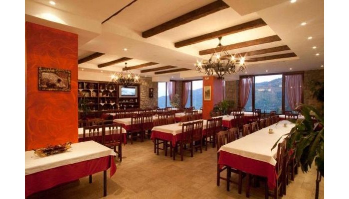 Hotel Pindos Palace poza 5