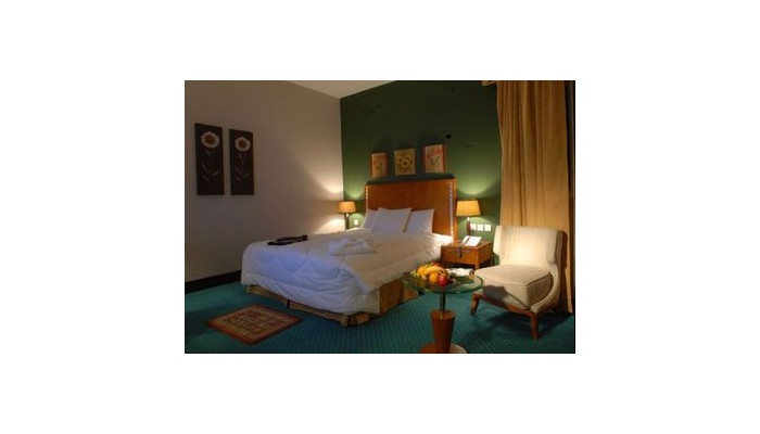 Hotel Golden Tulip Hail poza 3